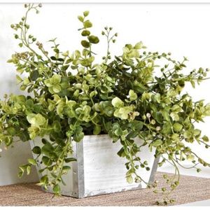 Meet your Posher, Steffanie